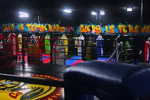 Evolution Training Center ( Fight and Fitness) image