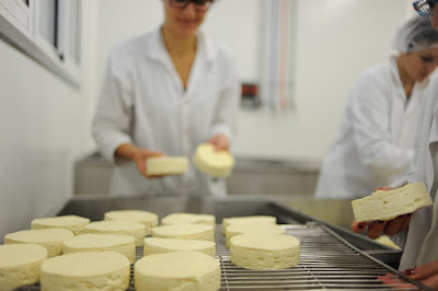 Master of Science Food Identity à Angers