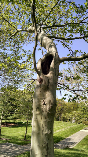 Park «Inwood Park», reviews and photos, 2308 Vine St, Cincinnati, OH 45219, USA