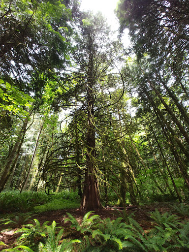 Tualatin Hills Nature Center