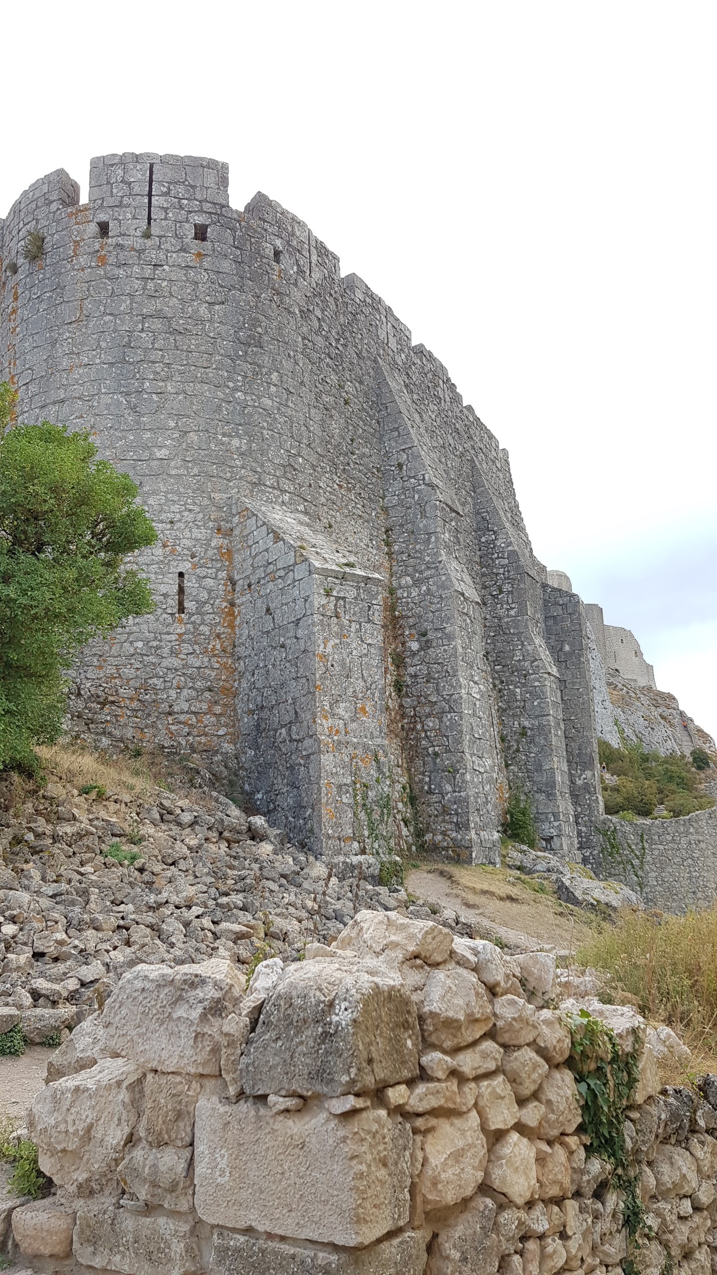 Photo n° 2 de l'avis de Ian.a fait le 29/08/2018 à 21:15