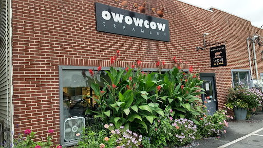 Owowcow Creamery, 4105 Durham Rd, Ottsville, PA 18942, USA, 