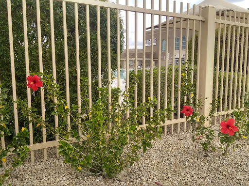 Gym «Life Time Fitness», reviews and photos, 14540 W McDowell Rd, Goodyear, AZ 85395, USA