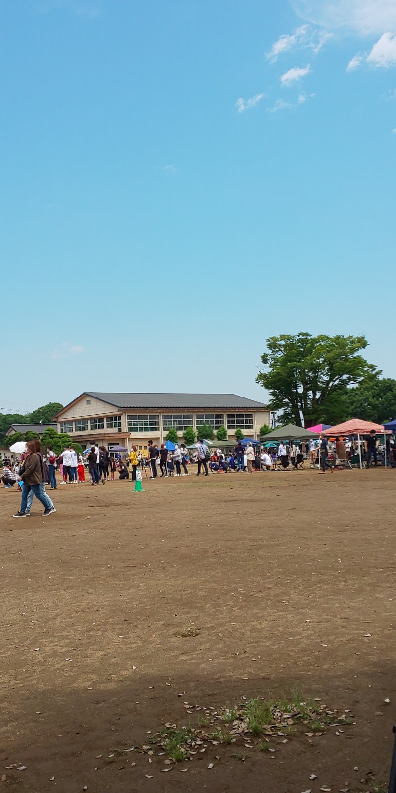 坂東市立七重小学校