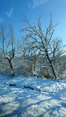 Jardins du Bocage Gatinais à Saint-Pierre-lès-Nemours