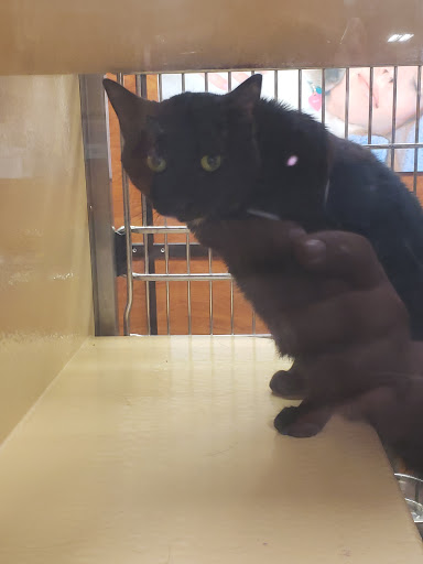 Pet Supply Store «PetSmart», reviews and photos, 3210 E Lynn Blvd, Sterling, IL 61081, USA