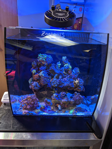 Tropical Fish Store «Barrier Reef Aquariums», reviews and photos, 1717 NE 44th St # A, Renton, WA 98056, USA