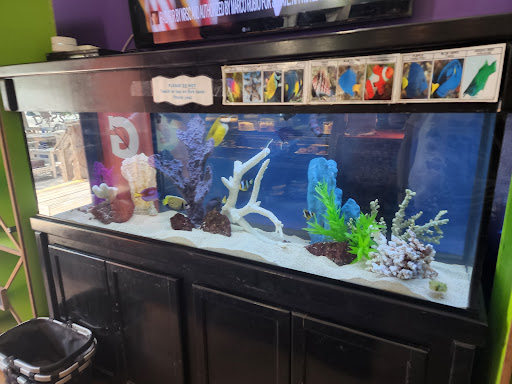 General Store «Anna Maria General Store», reviews and photos, 503 Pine Ave, Anna Maria, FL 34216, USA