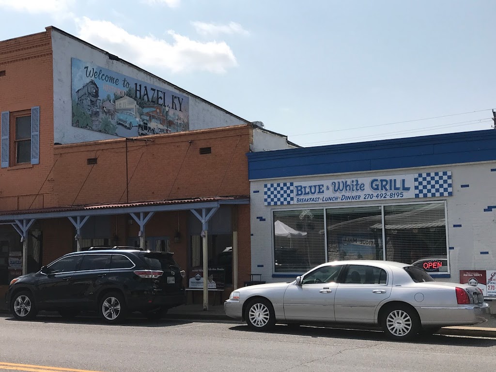 Blue and White Grill 42049