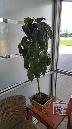 Auto Body Shop «Service King Collision Repair of South Lewisville», reviews and photos, 2765 S Stemmons Fwy, Lewisville, TX 75067, USA