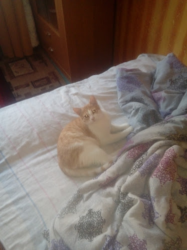 Przychodnia weterynaryjna Med-Vet s.c. - Weterynarz