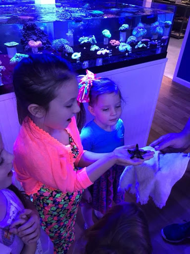 Tropical Fish Store «Classic City Aquariums», reviews and photos, 1260 Mars Hill Rd, Watkinsville, GA 30677, USA