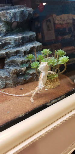 Pet Supply Store «PetSmart», reviews and photos, 1800 Evans Rd, Melbourne, FL 32904, USA