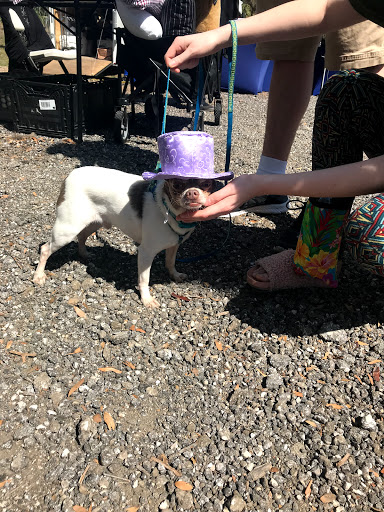 Dog Park «Arbor Dog Park», reviews and photos, 1405 N Grant St, Longwood, FL 32750, USA