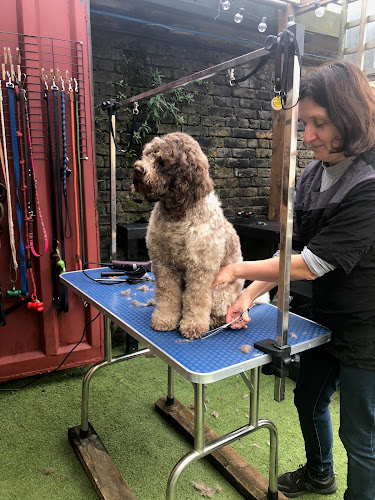 Hairy Hounds in Hackney - Dog trainer