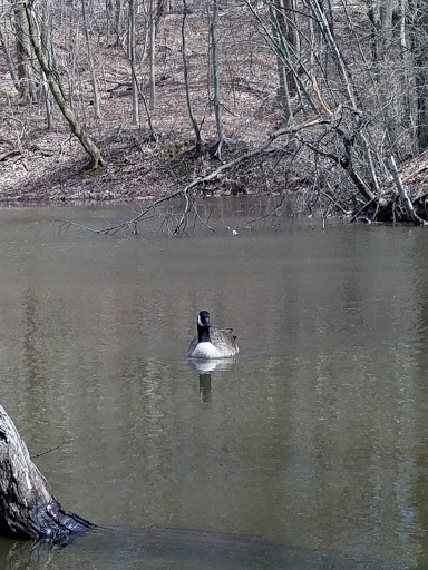 Nature Preserve «Flat Rock Brook Nature Center», reviews and photos, 443 Van Nostrand Ave, Englewood, NJ 07631, USA