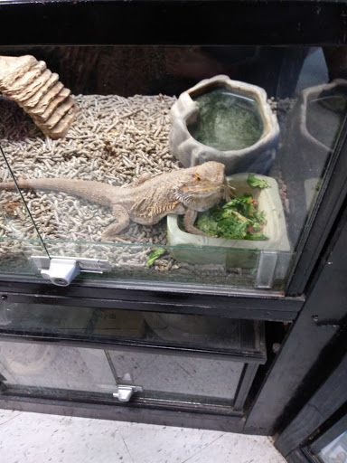Pet Store «Animal Lovers Pet Shop», reviews and photos, 24028 Vista Montana, Torrance, CA 90505, USA