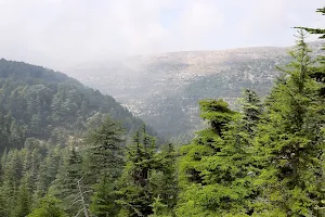 Horsh Ehden image