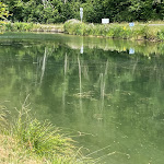 Photo n° 6 de l'avis de daniel.r fait le 30/06/2023 à 18:27 pour Aire de pique-nique camping car à Gudmont-Villiers