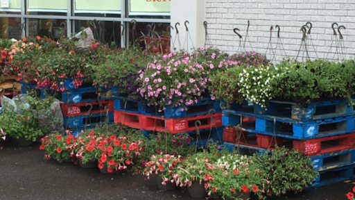 Supermarket «Shoppers Market II», reviews and photos, 14350 E 9 Mile Rd, Warren, MI 48089, USA