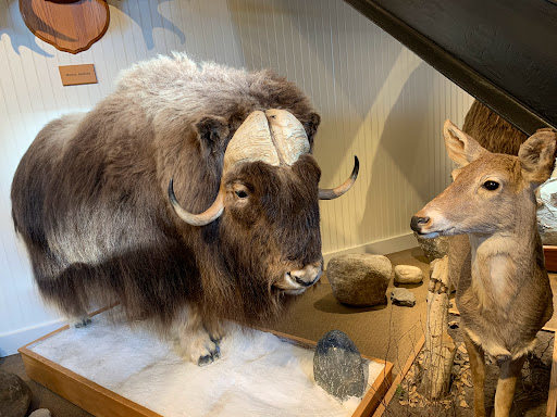 Clothing Store «L.L. Bean», reviews and photos, 95 Main St, Freeport, ME 04032, USA