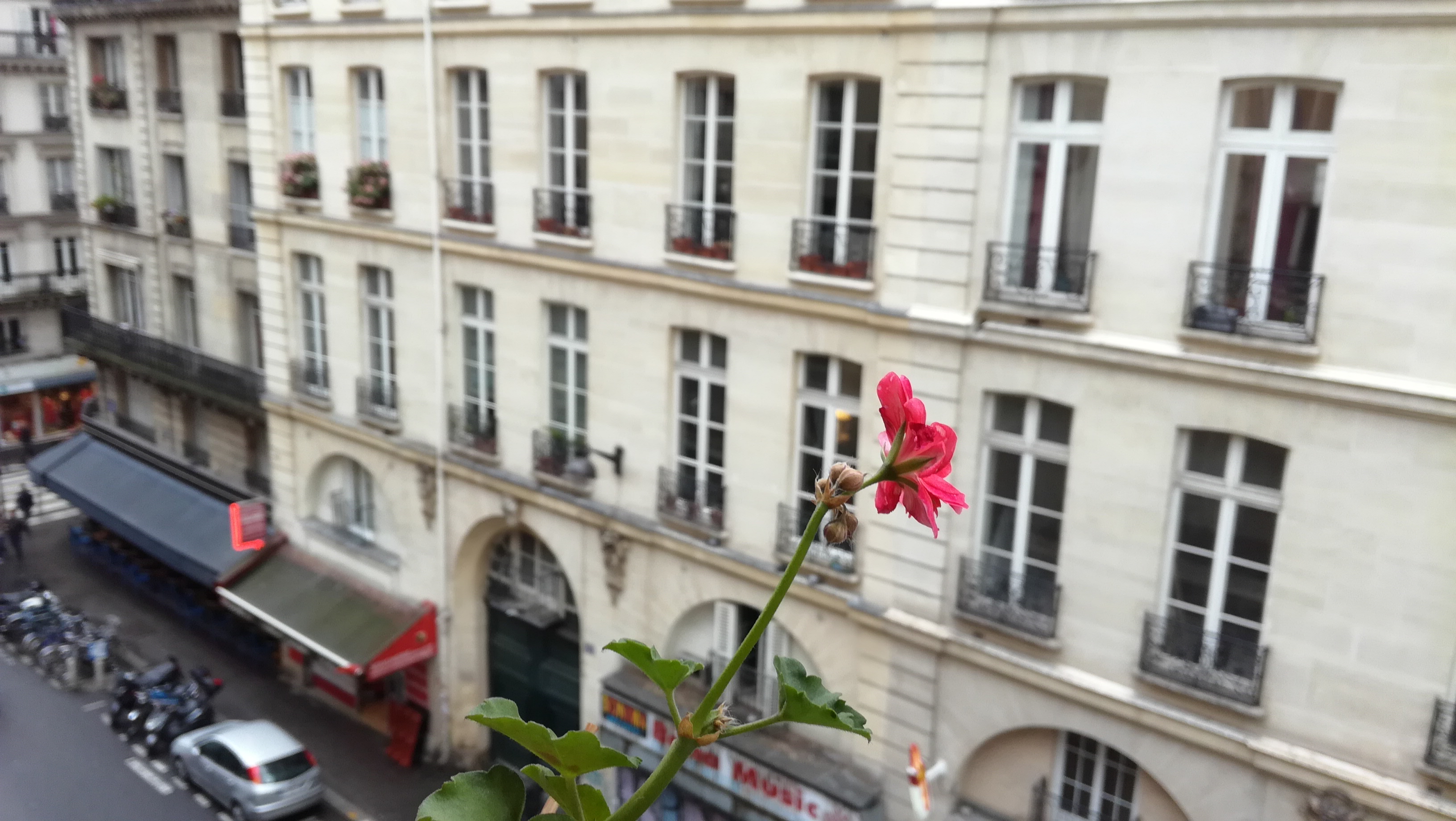 Photo n° 1 de l'avis de Sumaeya.d fait le 25/01/2018 à 19:08