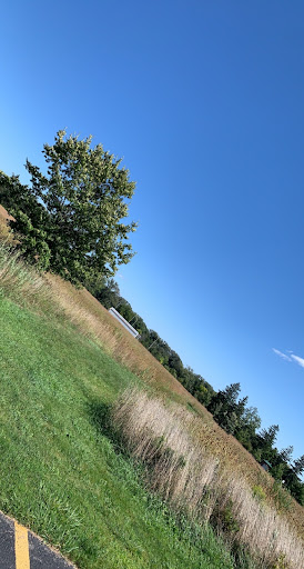 Park «Mather Woods Forest Preserve», reviews and photos, 25032 W Renwick Rd, Plainfield, IL 60544, USA