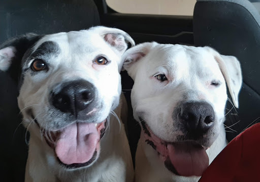 Park «Elizabeth Park», reviews and photos, 4250 Elizabeth Dr, Trenton, MI 48183, USA