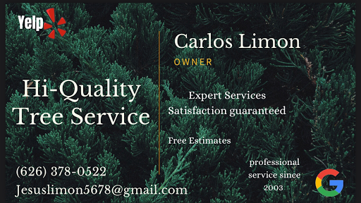 Hi-Quality Tree Service