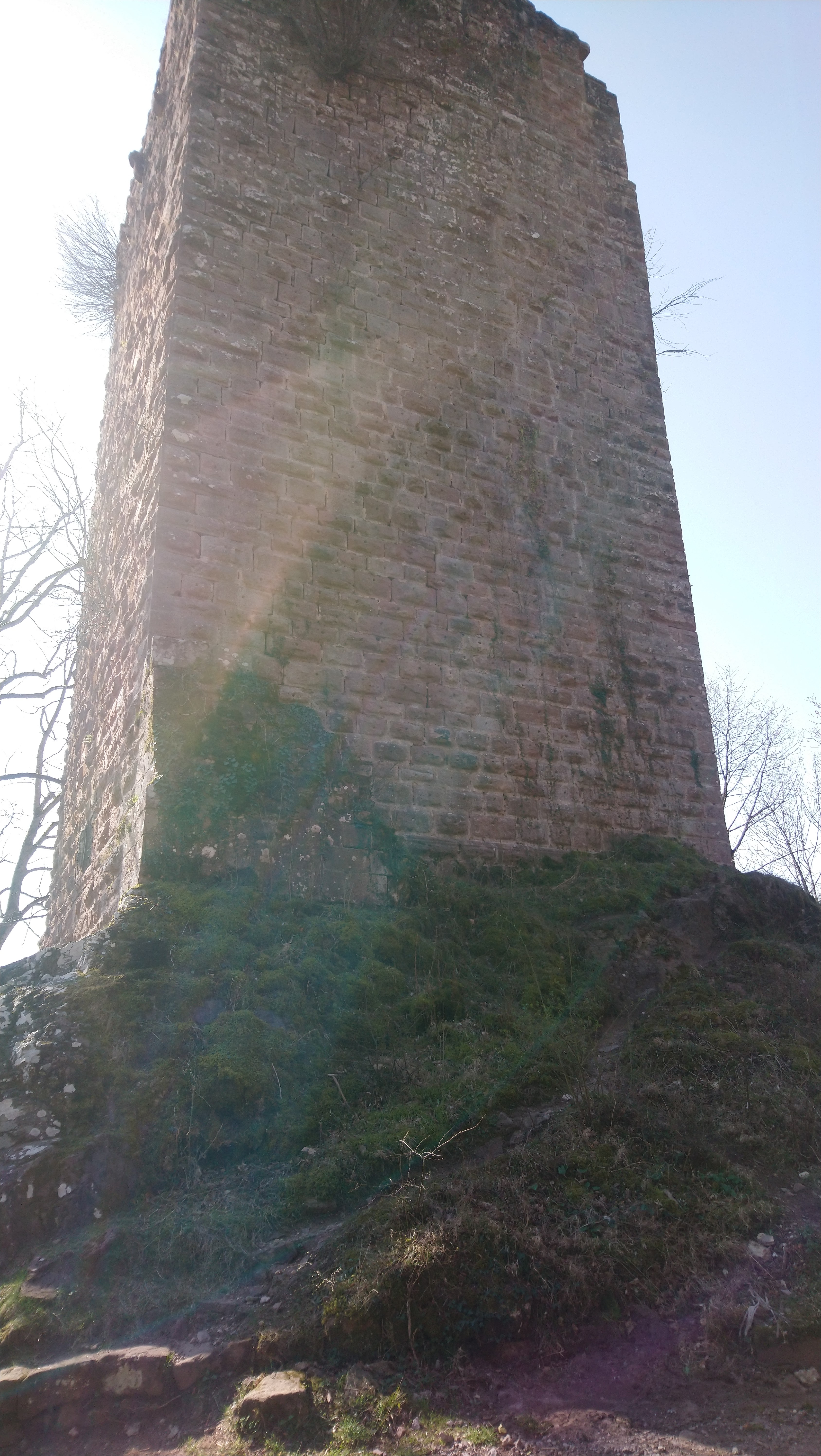 Photo n° 2 de l'avis de Laly.1 fait le 31/03/2019 à 11:11