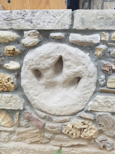 Gift Shop «Stone Hut Fossil Shop», reviews and photos, 1184 FM 205, Glen Rose, TX 76043, USA