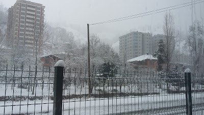 Photos of T&Uuml;VT&Uuml;RK Vehicle Inspection Station - Rize
