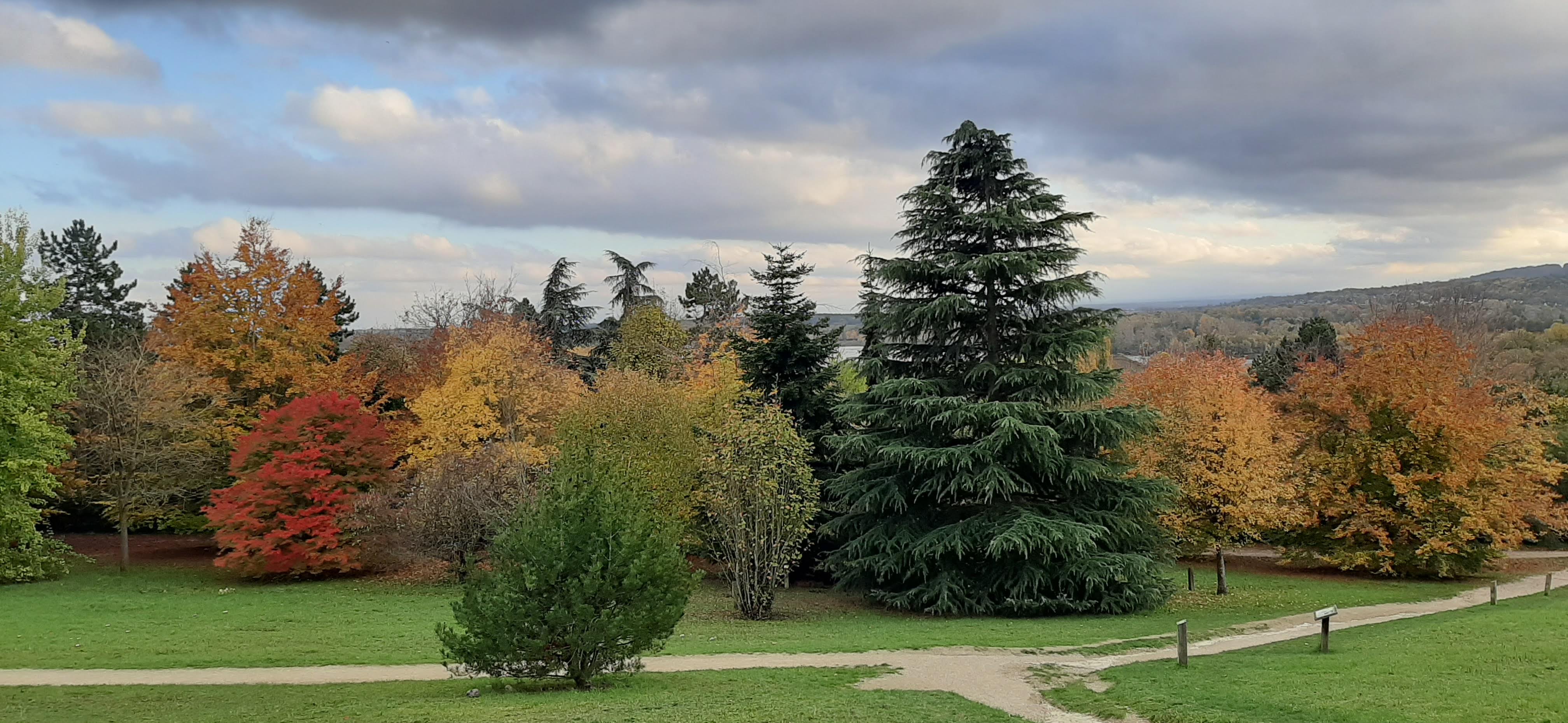 Photo n° 1 de l'avis de Renée.F fait le 11/11/2019 à 08:34