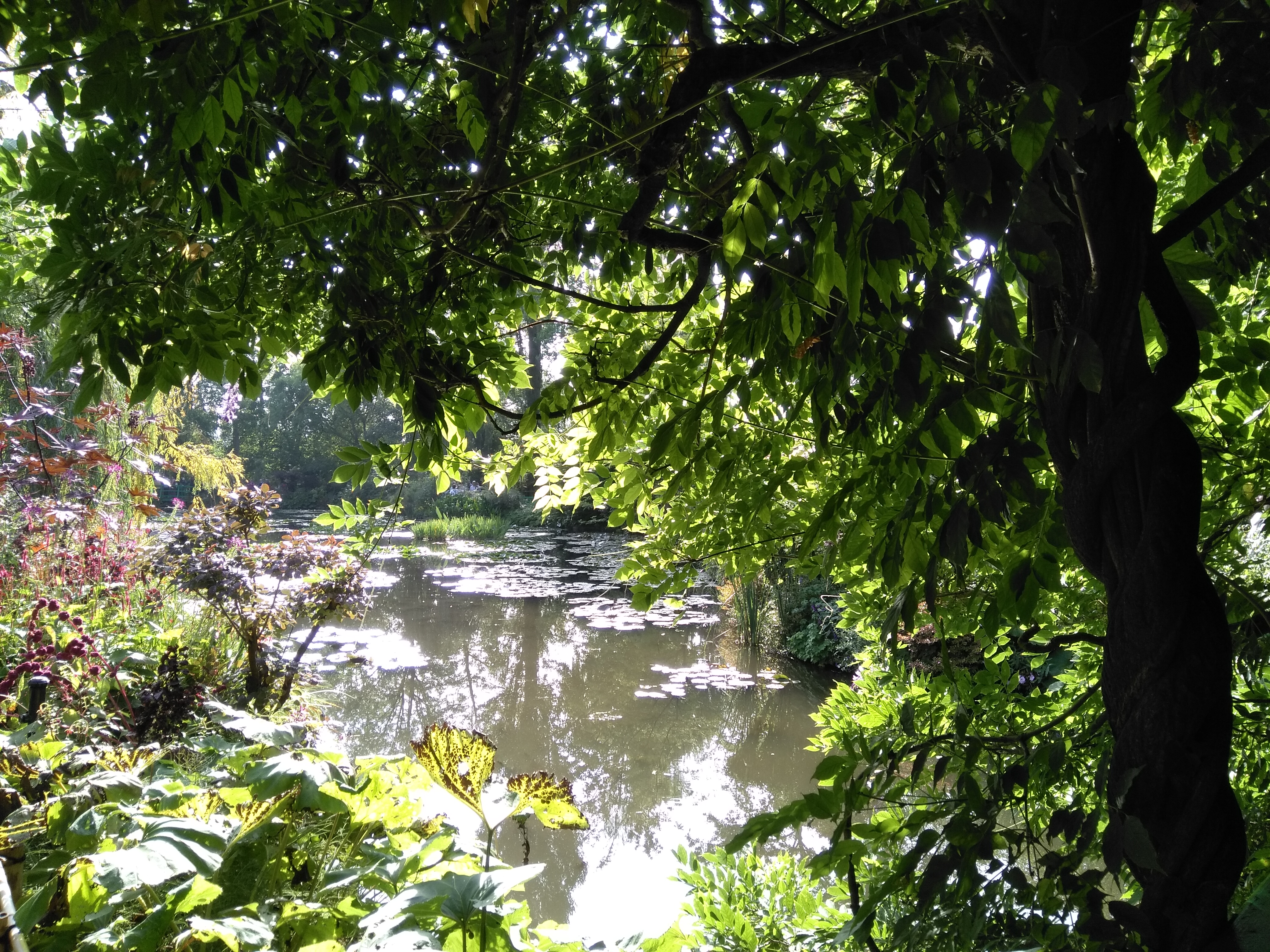 Photo n° 10 de l'avis de Emmanuel.o fait le 14/09/2019 à 14:20