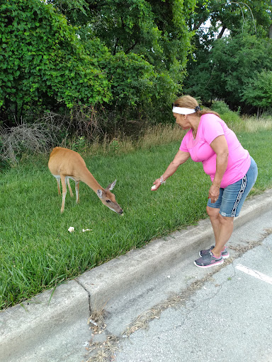 Nature Preserve «Schiller Woods East», reviews and photos, W Irving Park Rd, Chicago, IL 60634, USA