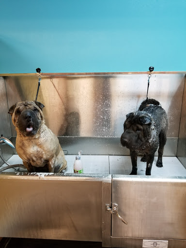 Pet Supply Store «C & C Pet Food For Less», reviews and photos, 16134 Nordhoff St, North Hills, CA 91343, USA