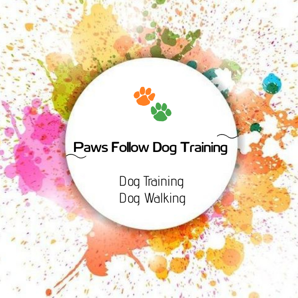 Paws Follow Dog Training