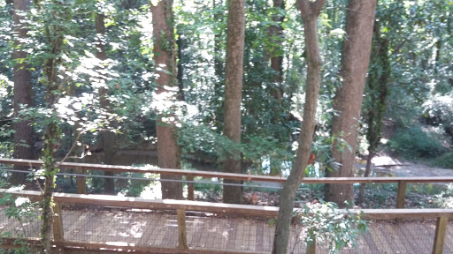 Nature Preserve «Fernbank Forest», reviews and photos, 767 Clifton Rd, Atlanta, GA 30307, USA