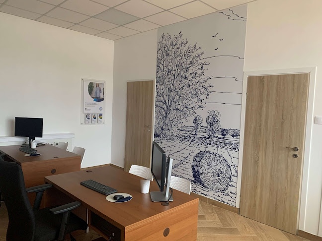 PZU Ubezpieczenia Białystok - Agent Alina Czajkowska - Agencja ubezpieczeniowa