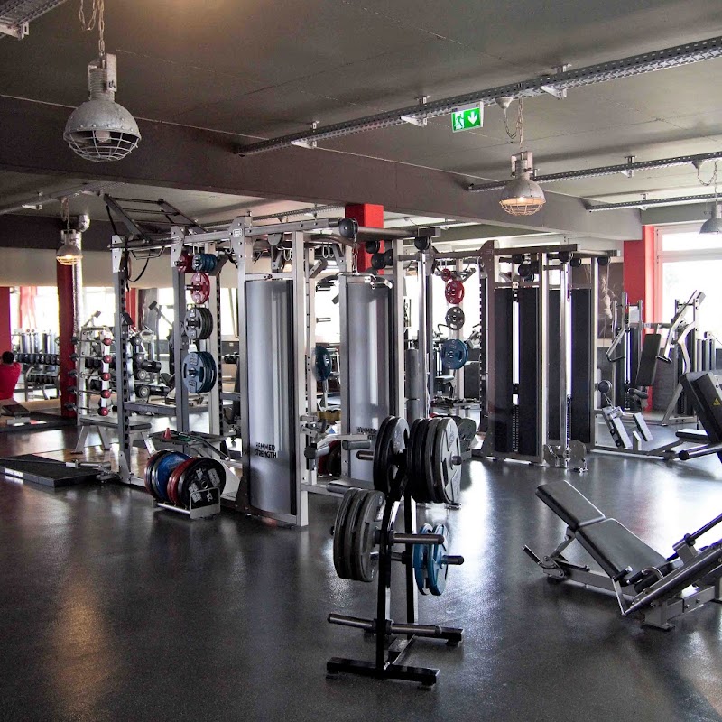 Springer Fitness & Gesundheitsclub