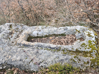 Museo - Necrópolis de Canduela - Canduela
