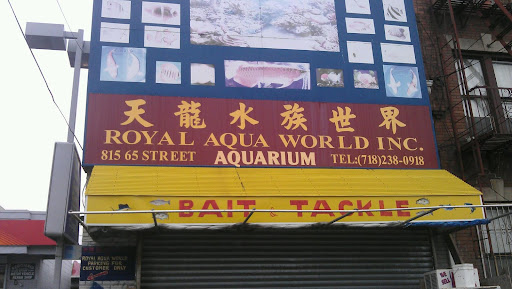 Aquarium Shop «Royal Aqua world Inc.», reviews and photos, 815 65th St, Brooklyn, NY 11220, USA