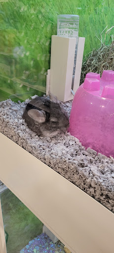 Pet Supply Store «PetSmart», reviews and photos, 12142 Jefferson Ave, Newport News, VA 23602, USA