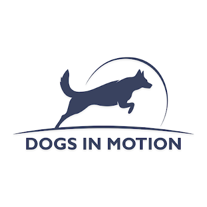 Dogs In Motion - Vi elsker glade hunde