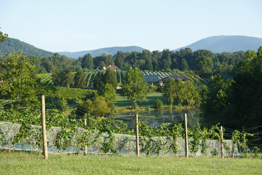 Winery «Glass House Winery», reviews and photos, 5898 Free Union Rd, Free Union, VA 22940, USA