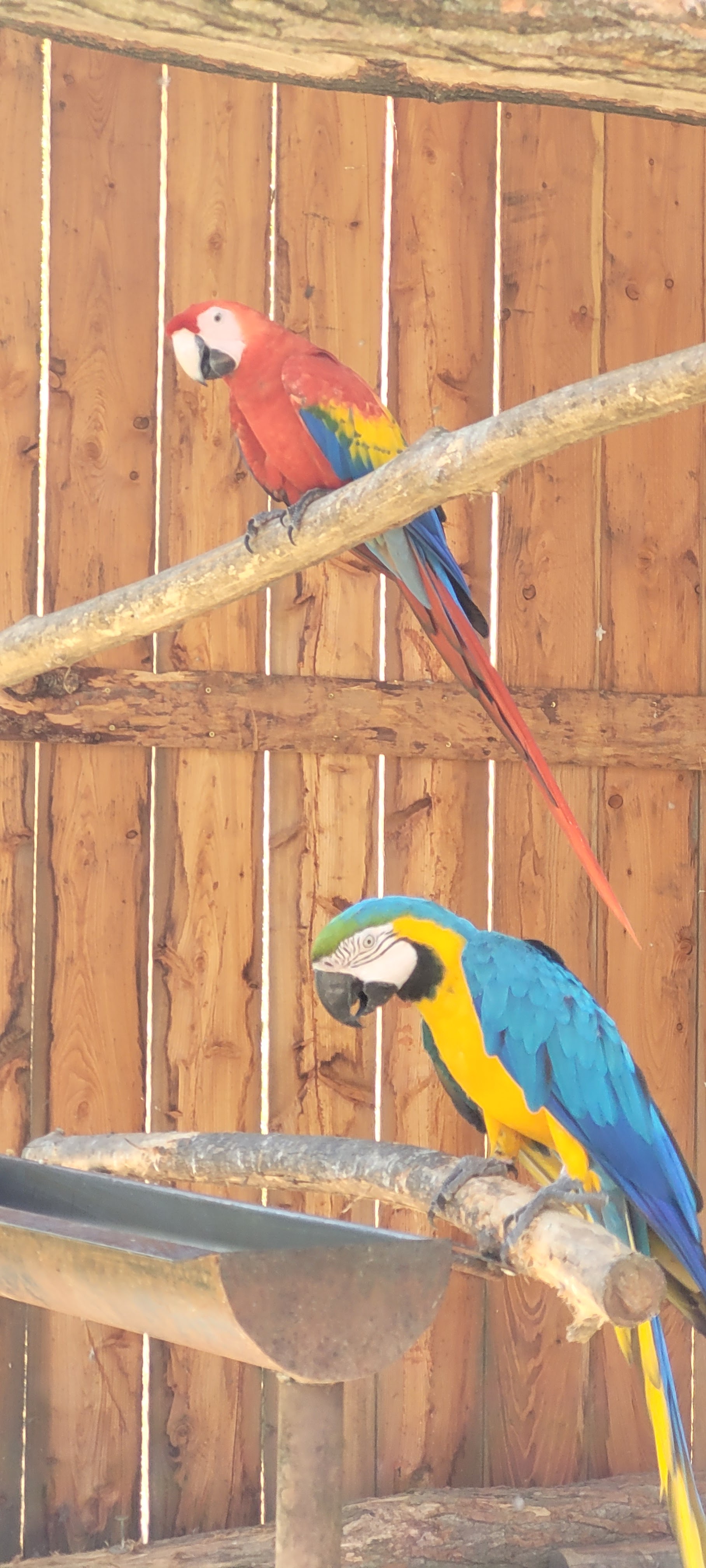 Photo n° 2 de l'avis de Francoise.i fait le 13/07/2022 à 21:54