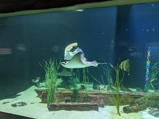Aquarium «Great Lakes Aquarium», reviews and photos, 353 Harbor Dr, Duluth, MN 55802, USA