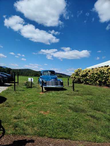 Vineyard «Kaya Vineyard & Winery», reviews and photos, 5400 Town Creek Rd, Dahlonega, GA 30533, USA