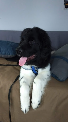 Motorsports Store «New Jersey Motorsports Park», reviews and photos, 8000 Dividing Creek Rd, Millville, NJ 08332, USA