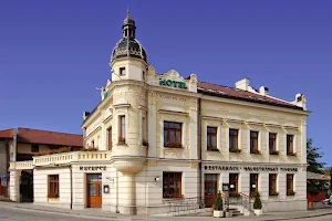 Jelínkova vila - hotel, restaurace a pivovar image